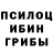 Галлюциногенные грибы Psilocybine cubensis Aleksei lemon