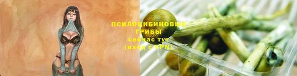 ешки Володарск