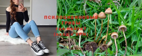 ешки Володарск