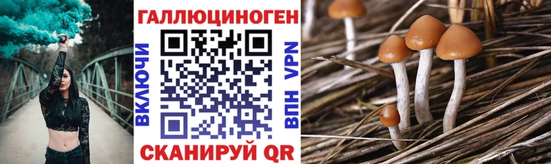 Галлюциногенные грибы MAGIC MUSHROOMS  сколько стоит  Чистополь 
